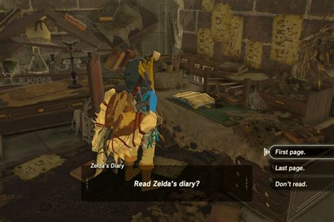 zeldas diary botw